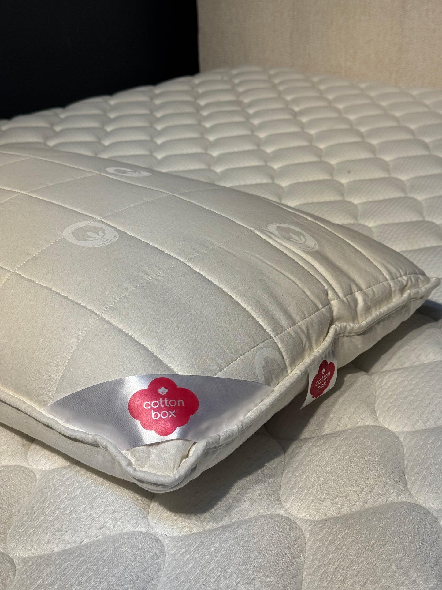 Cotton-Soft Pillow ( 50x70cm / 19.7 x 27.6 inches )