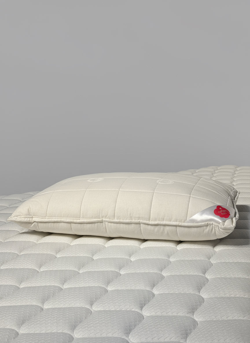 Cotton-Soft Pillow ( 50x70cm / 19.7 x 27.6 inches )