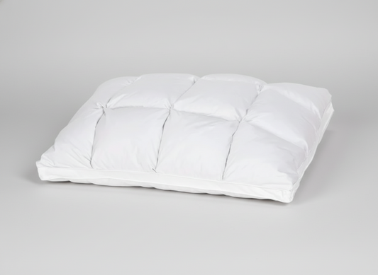 Bald erhältlich… Bio-Gänsedaunenkissen für organischen Schlaf
