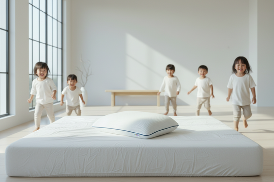 Premium Embrace SKY- Visko Pillow